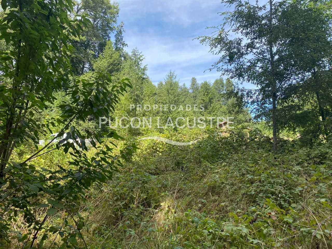 Parcela en Venta en Villarrica miniatura 8
