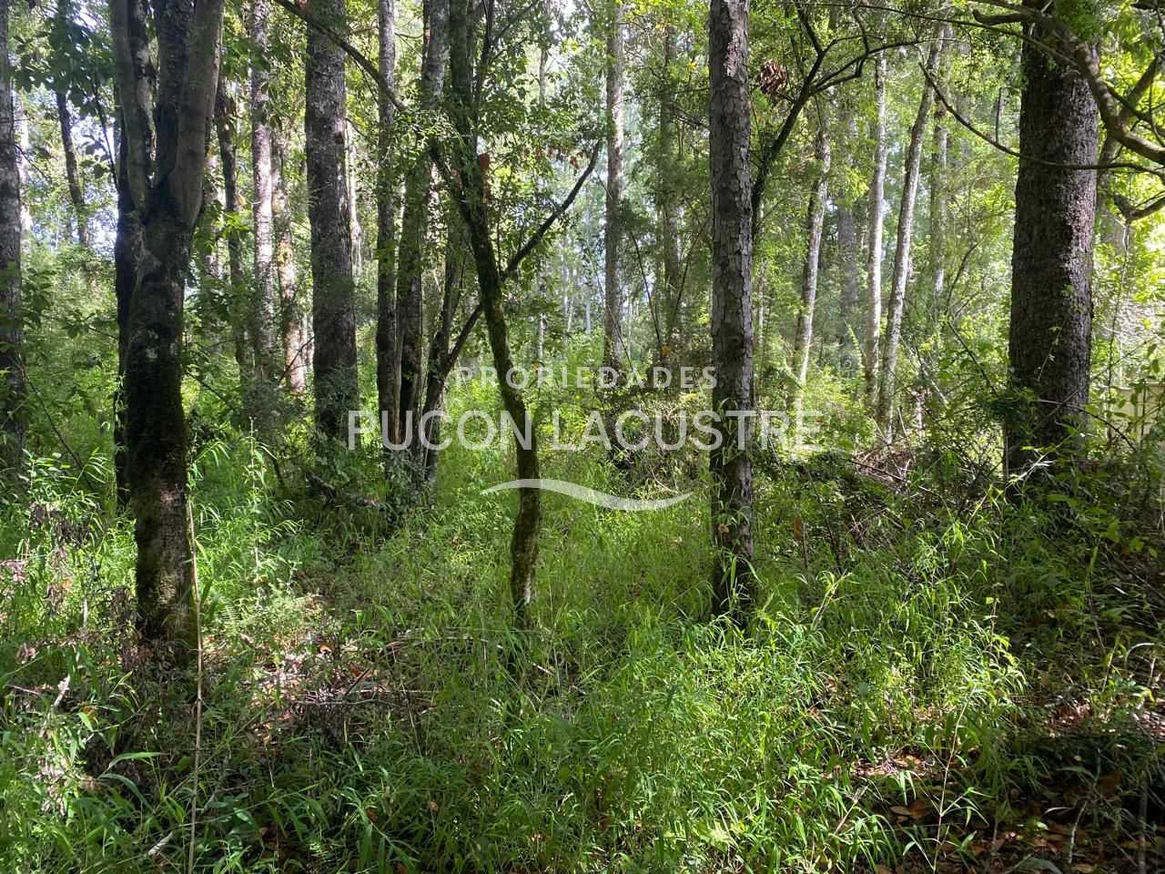 Parcela en Venta en Villarrica miniatura 9
