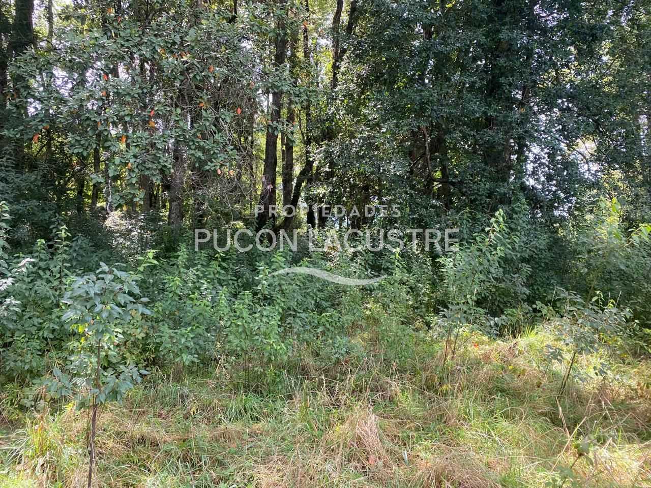 Parcela en Venta en Villarrica miniatura 14