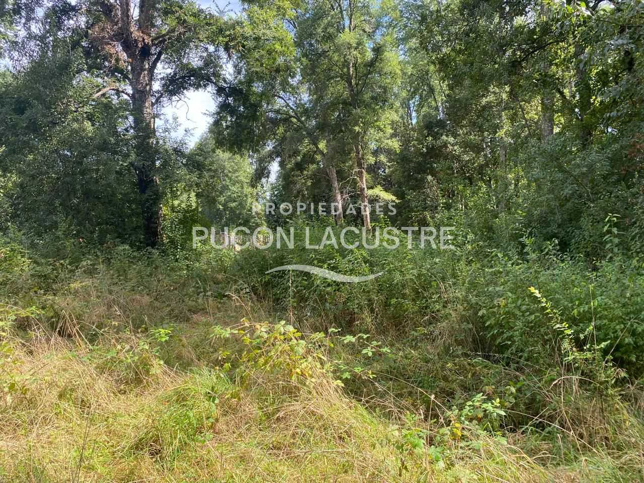 Parcela en Venta en Villarrica miniatura 16