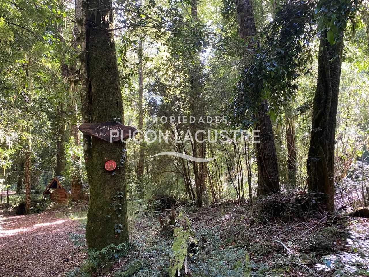 Casa en Venta en Panguipulli miniatura 3