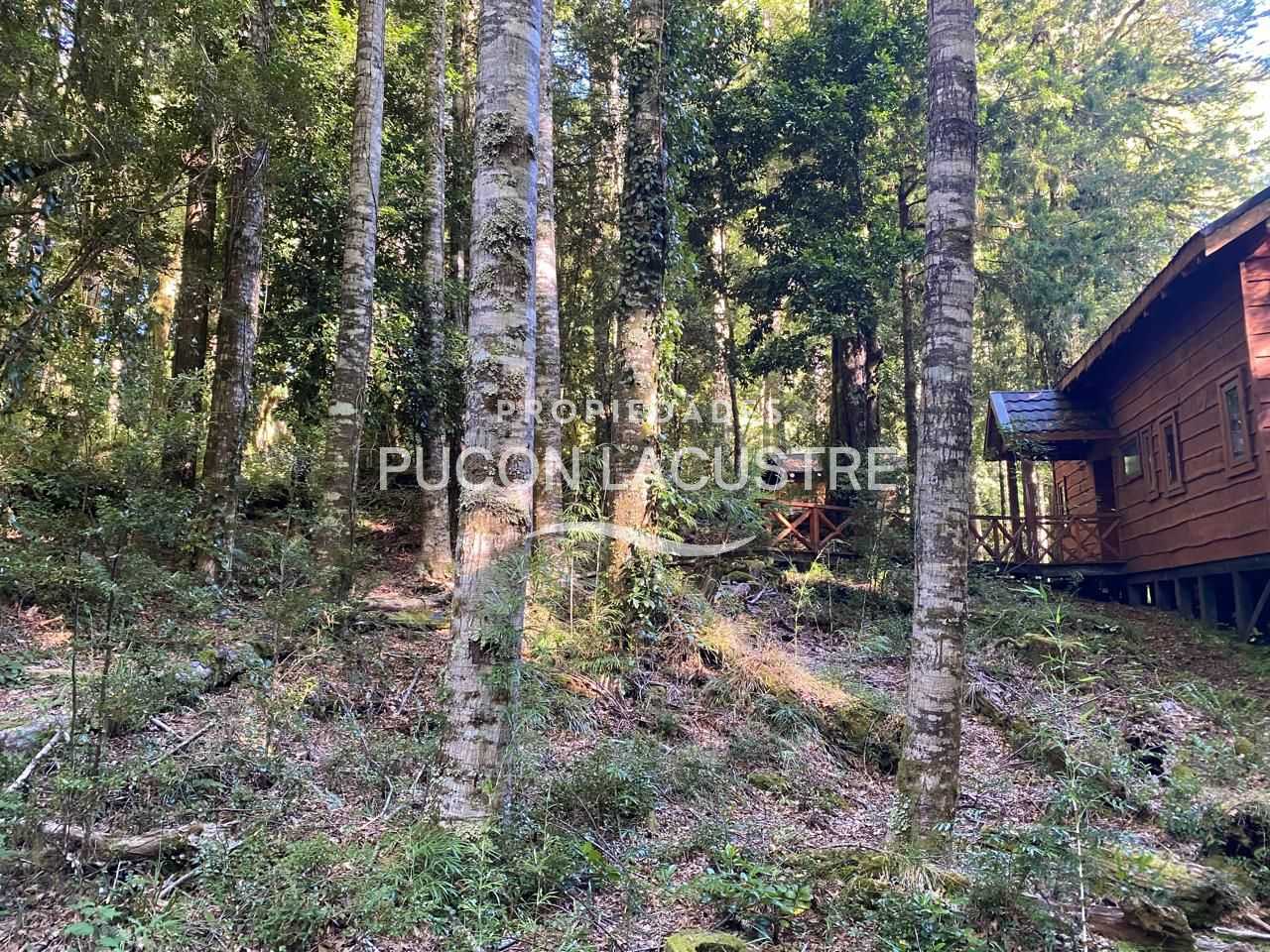 Casa en Venta en Panguipulli miniatura 24