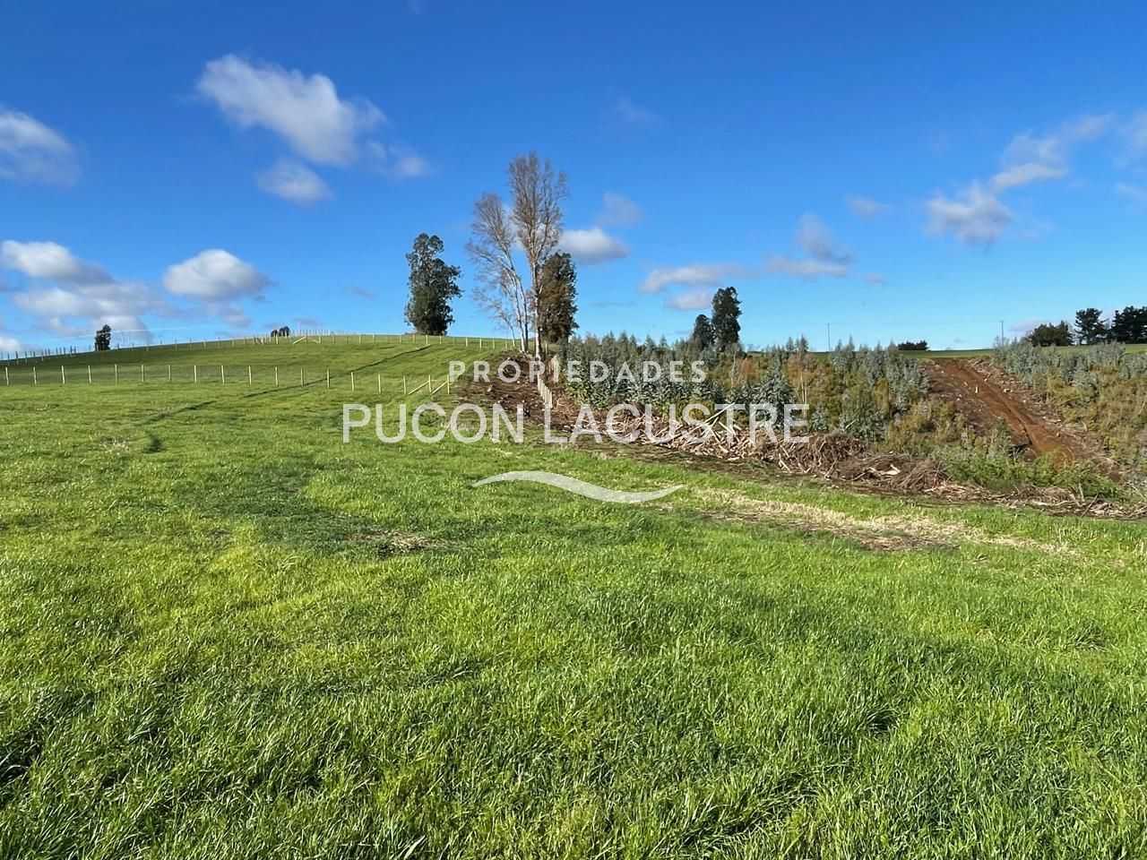 Parcela en Venta en Freire miniatura 5