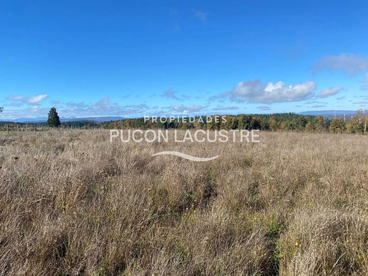 Parcela en Venta en Freire miniatura 12
