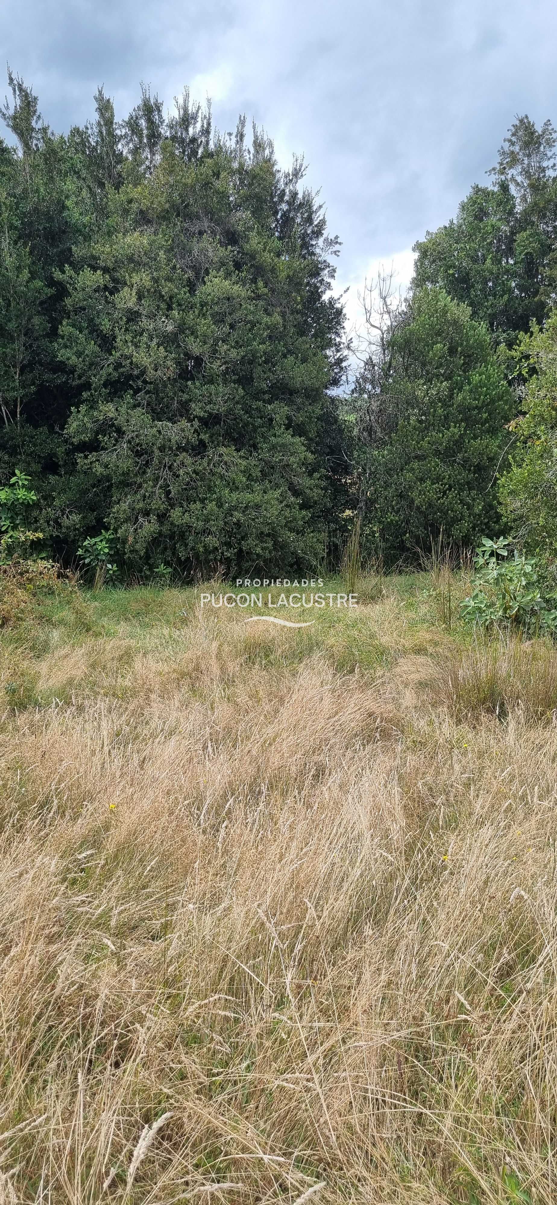 Parcela en Venta en Villarrica miniatura 2