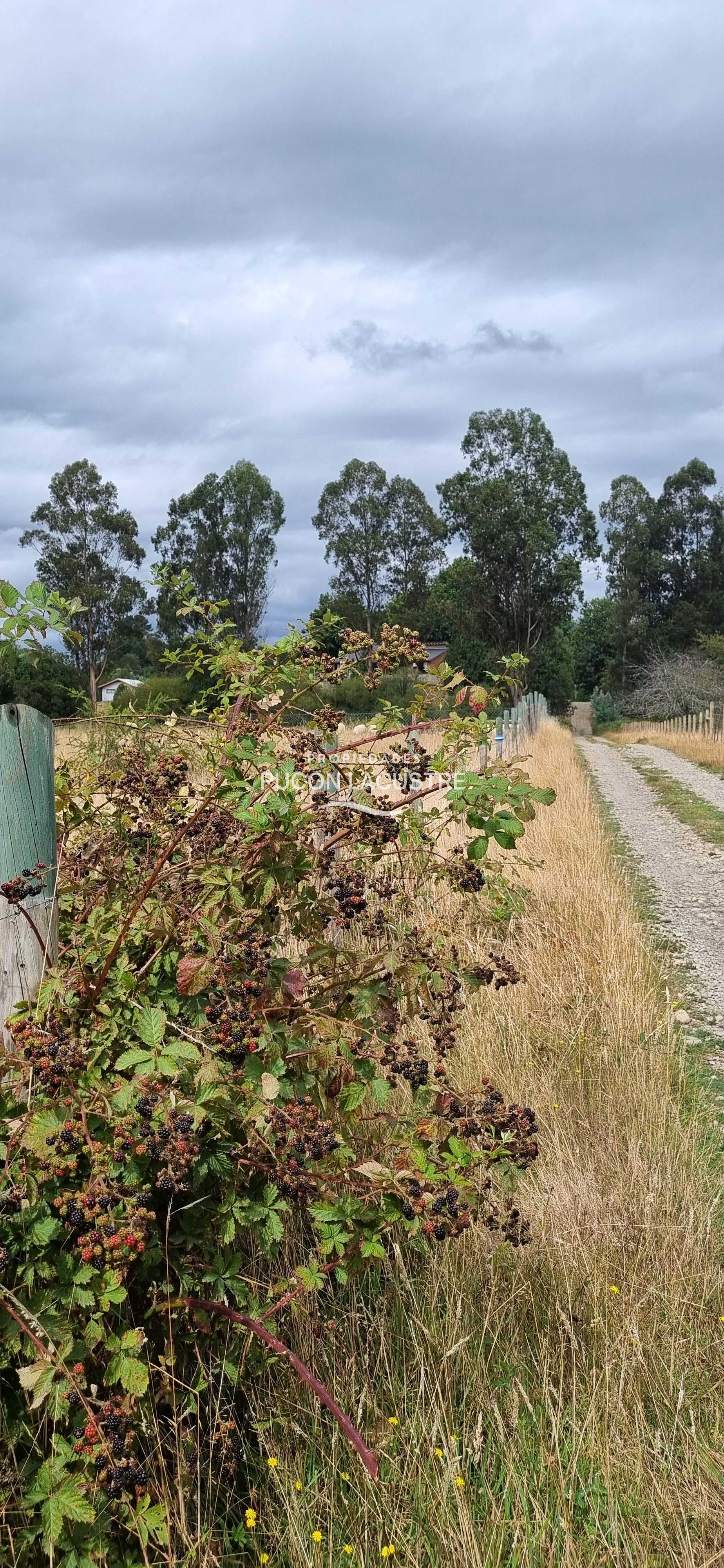 Parcela en Venta en Villarrica miniatura 17