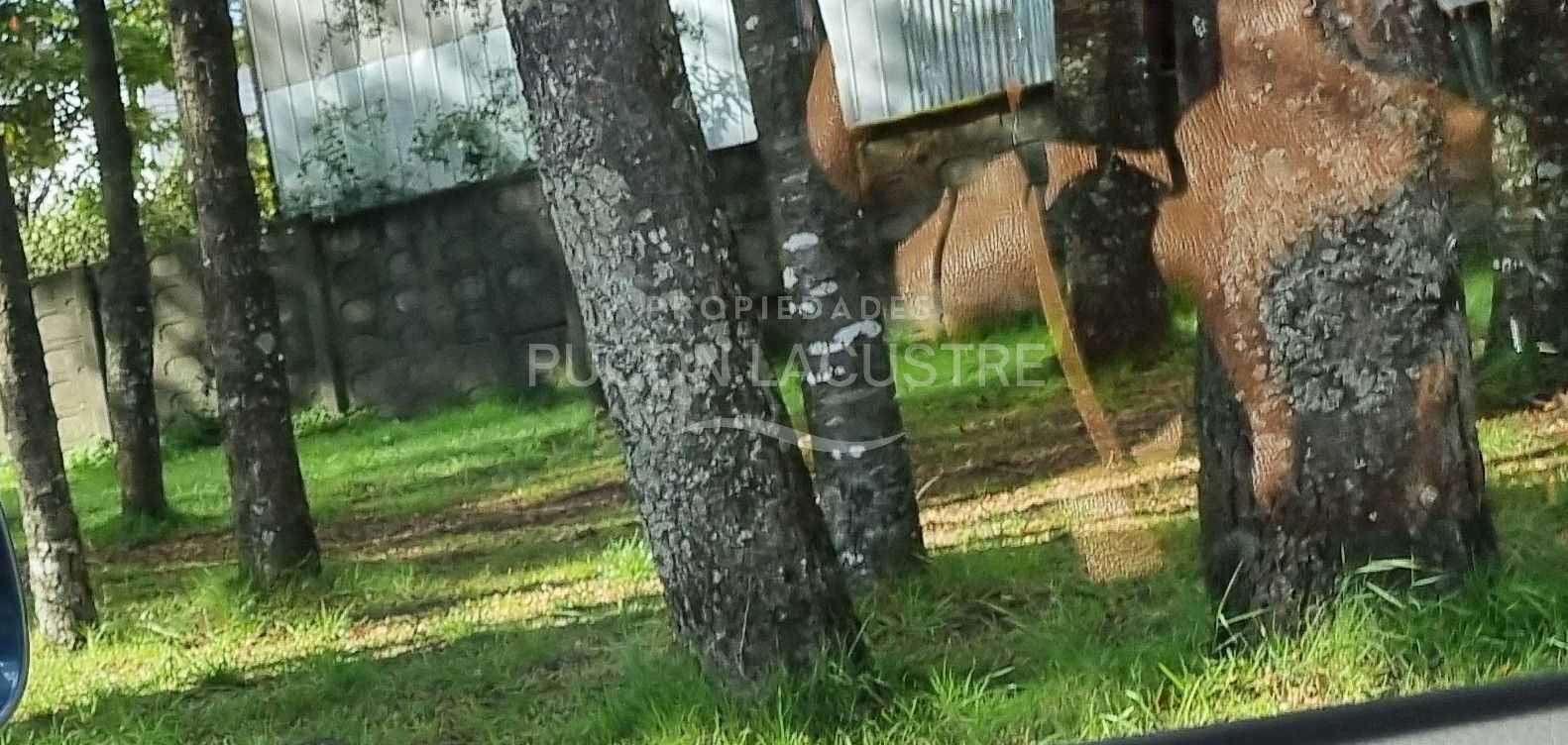 Casa en Venta en Villarrica miniatura 2
