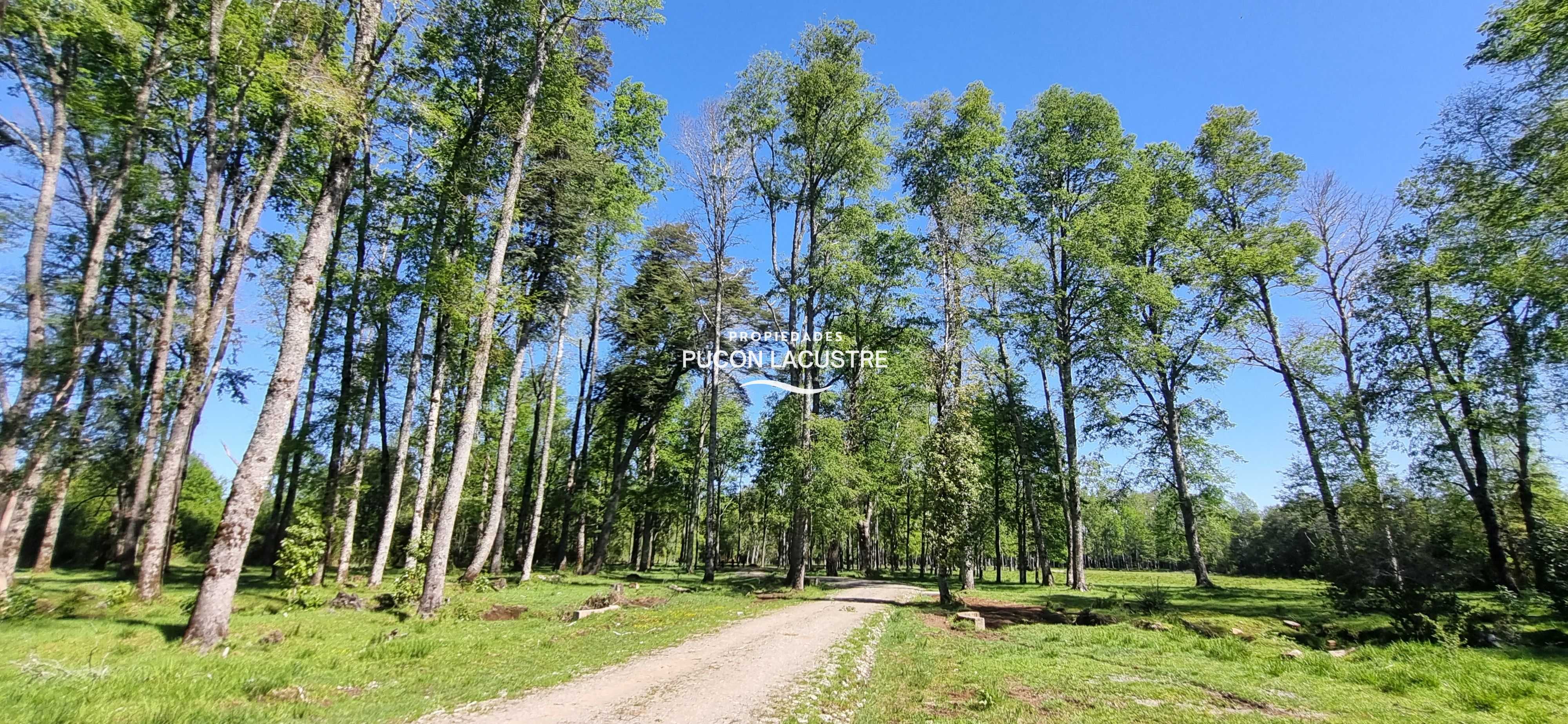 Parcela en Venta en Villarrica — foto 1