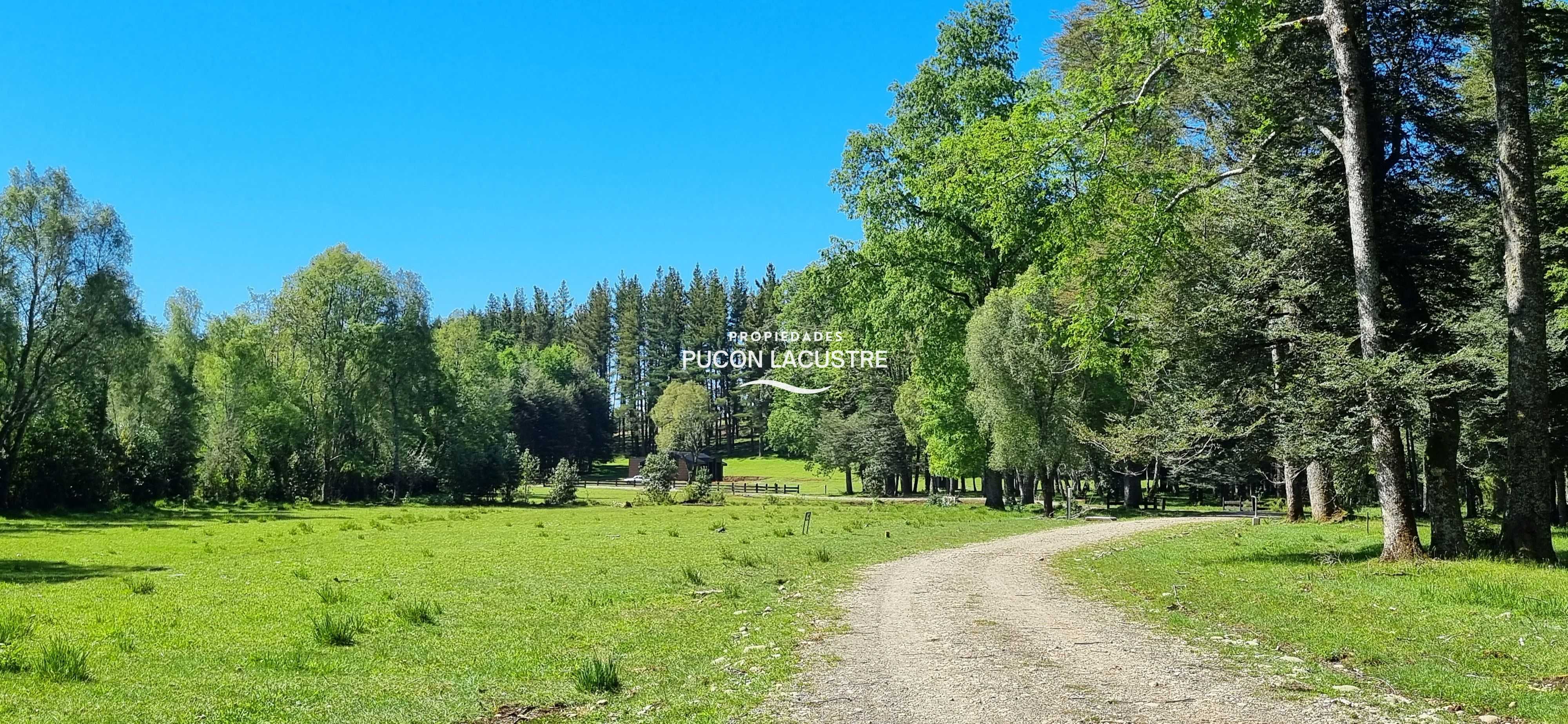Parcela en Venta en Villarrica miniatura 3