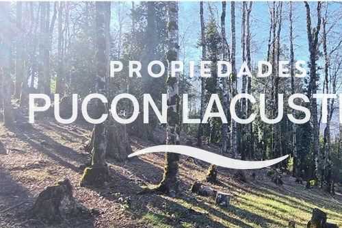 Parcela en Venta en Villarrica miniatura 5