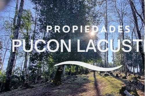 Parcela en Venta en Villarrica miniatura 6