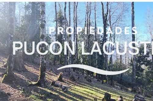 Parcela en Venta en Villarrica miniatura 15