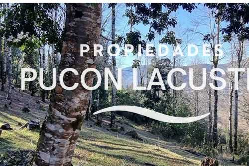 Parcela en Venta en Villarrica miniatura 16