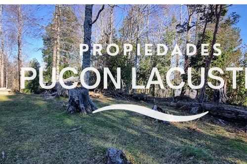 Parcela en Venta en Villarrica miniatura 17