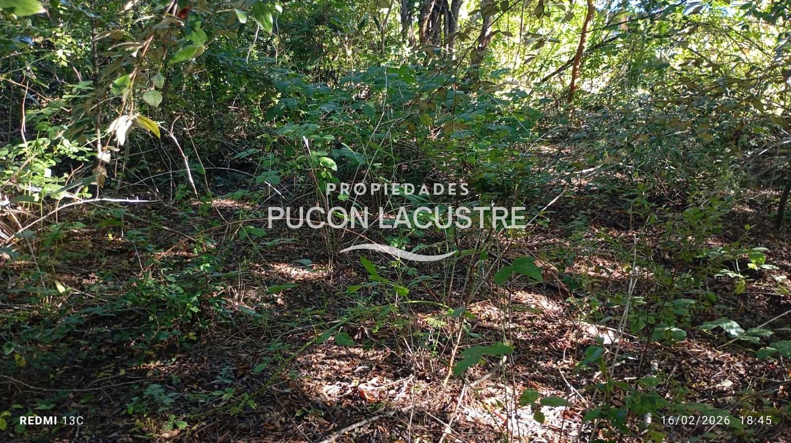 Parcela en Venta en Pucón miniatura 3