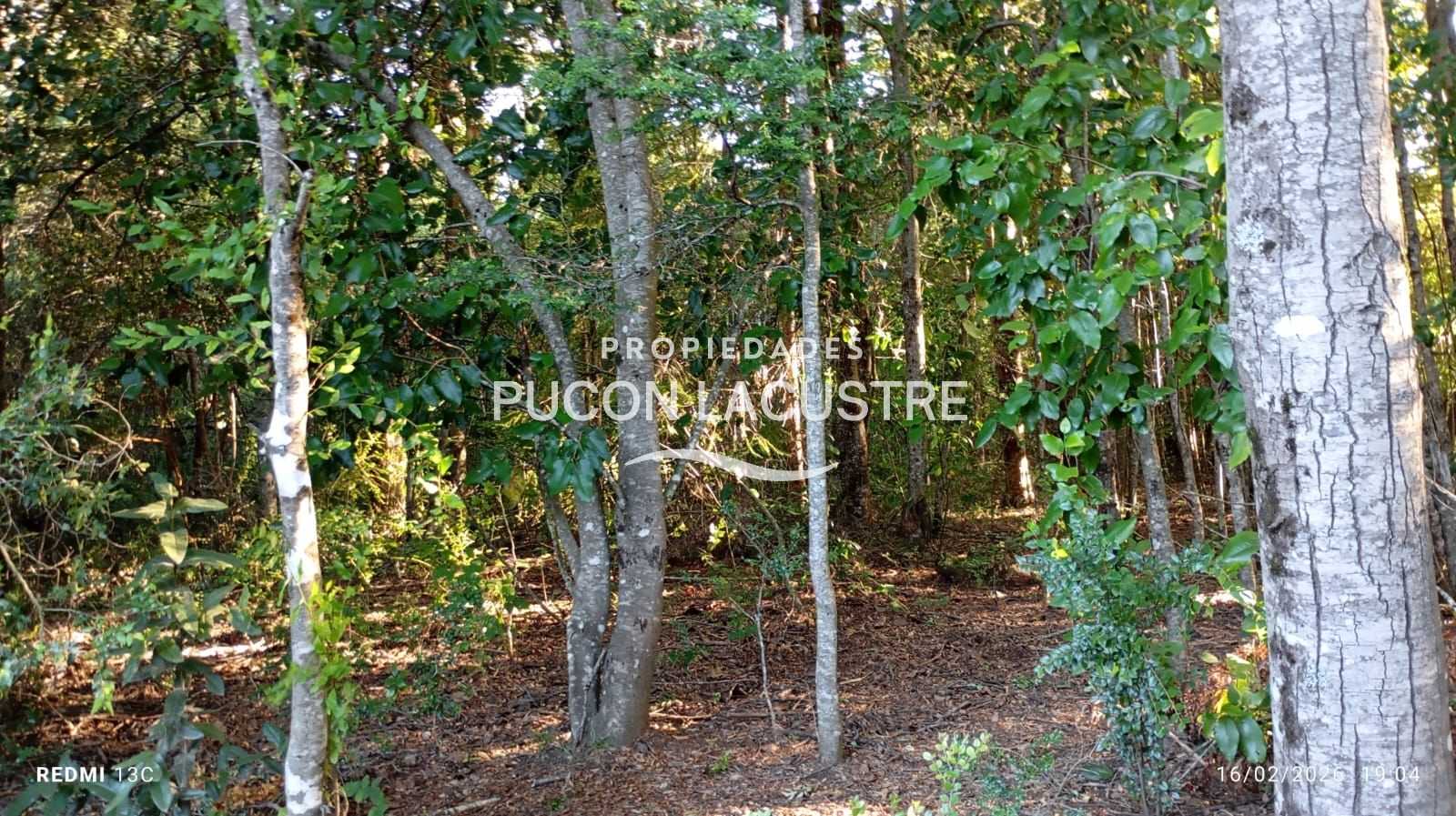 Parcela en Venta en Pucón miniatura 4