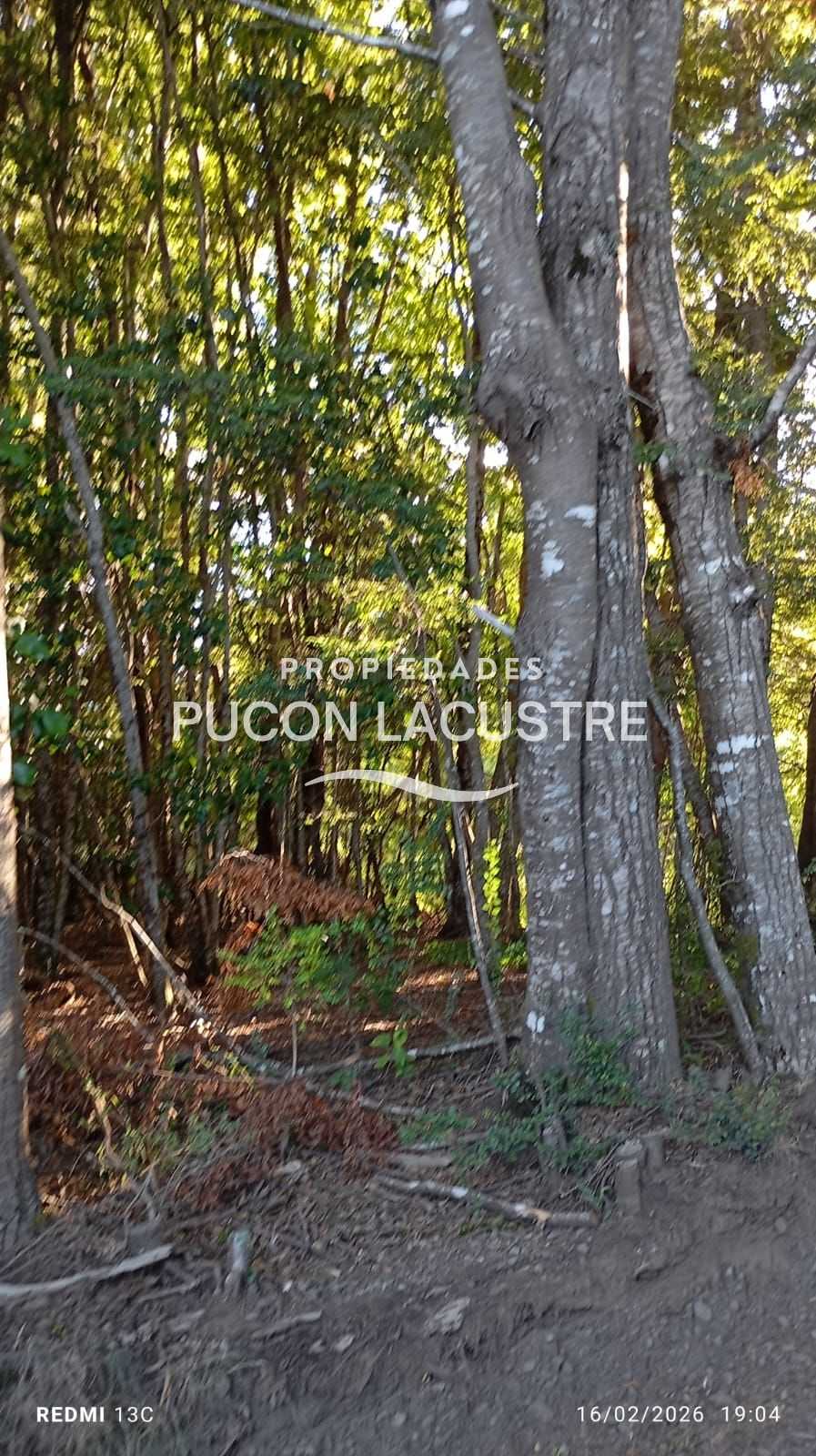 Parcela en Venta en Pucón miniatura 7