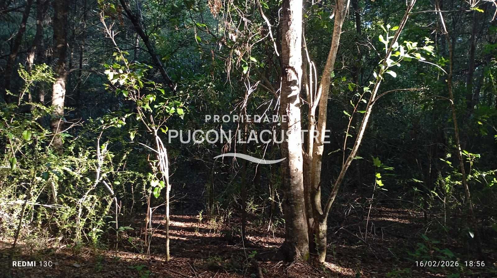 Parcela en Venta en Pucón miniatura 9
