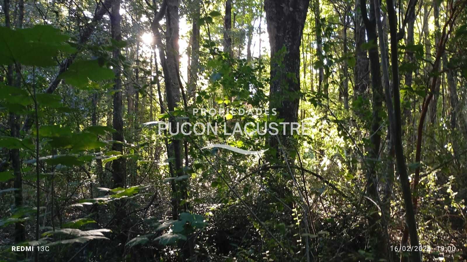 Parcela en Venta en Pucón miniatura 13