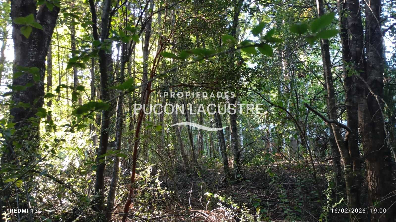 Parcela en Venta en Pucón miniatura 16