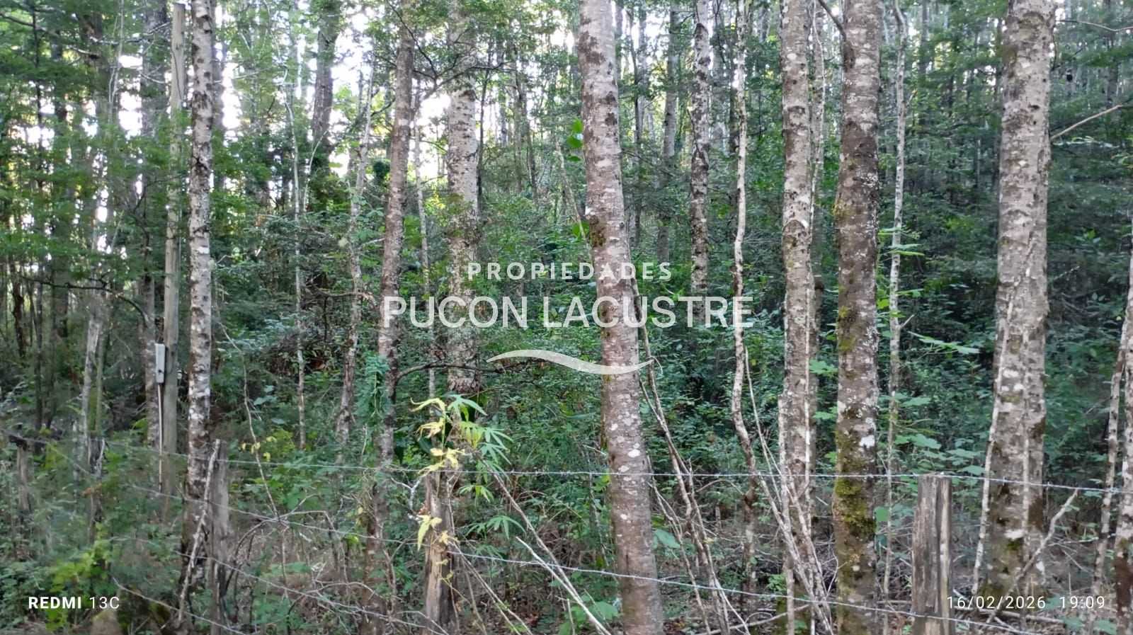 Parcela en Venta en Pucón miniatura 19