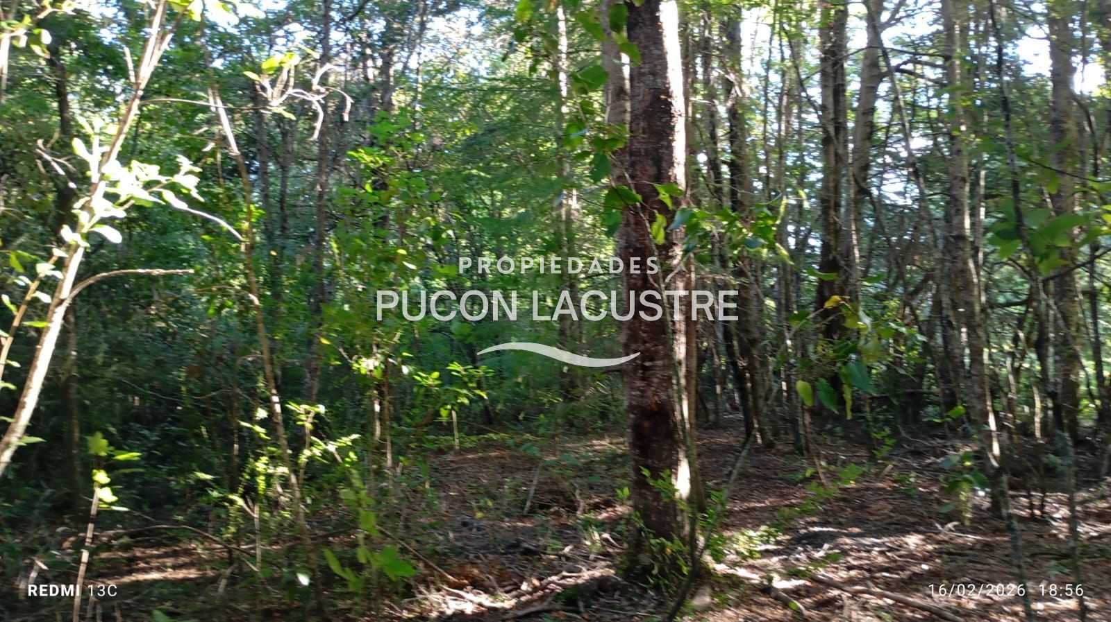 Parcela en Venta en Pucón miniatura 23