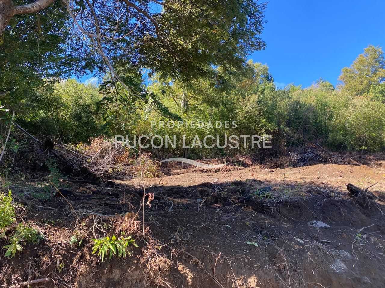 Parcela en Venta en Pucón miniatura 6