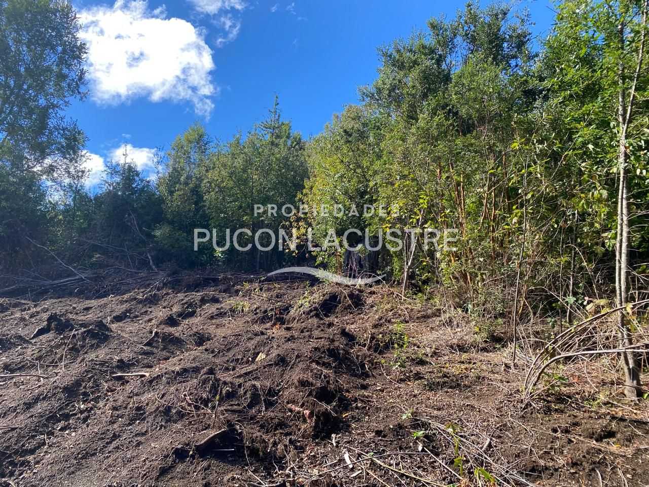 Parcela en Venta en Pucón miniatura 13