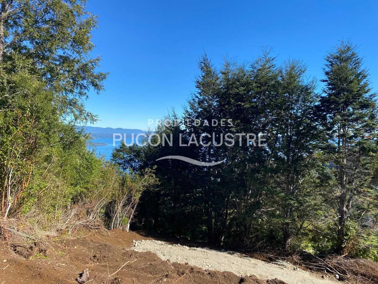 Parcela en Venta en Pucón miniatura 24