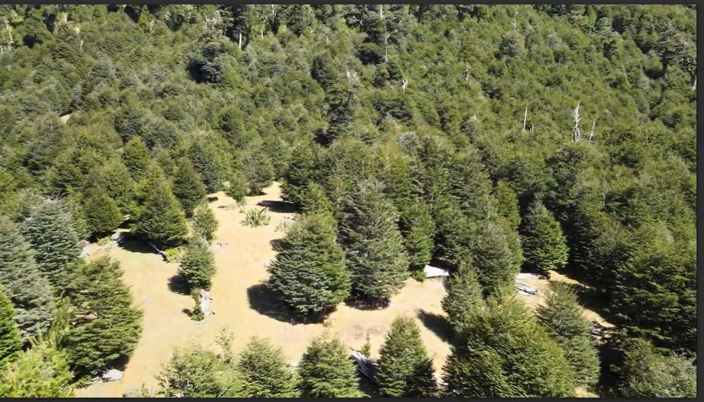 Terreno en Venta en Pucón miniatura 3