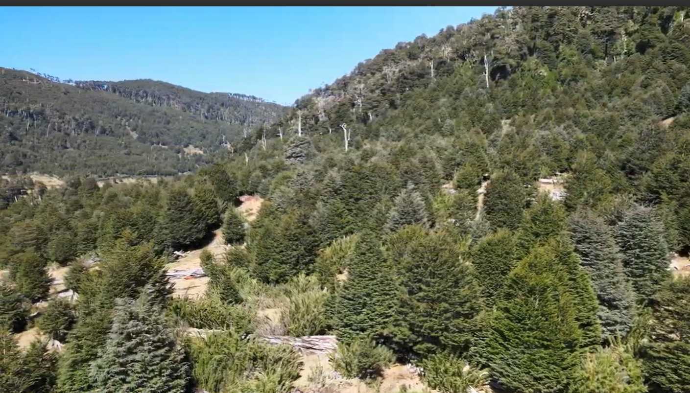 Terreno en Venta en Pucón miniatura 5