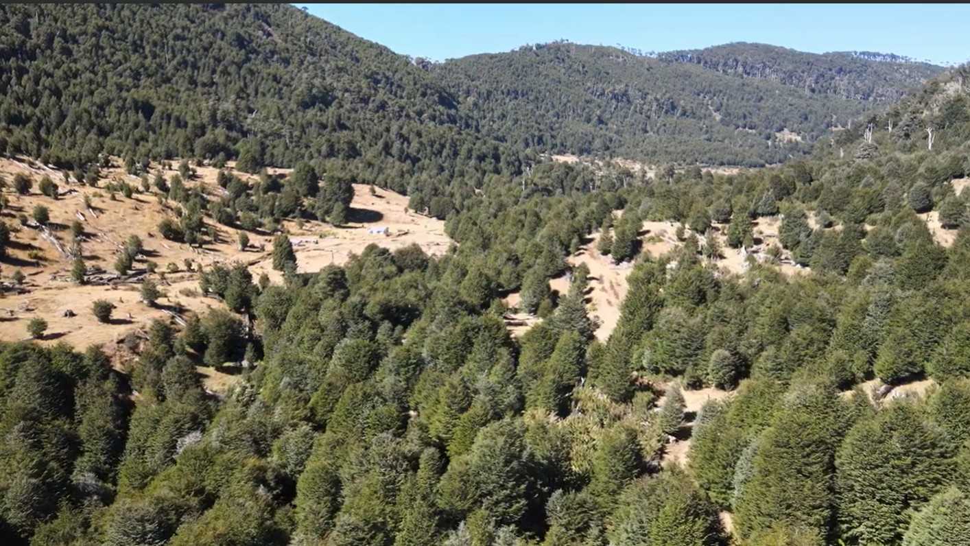Terreno en Venta en Pucón miniatura 8