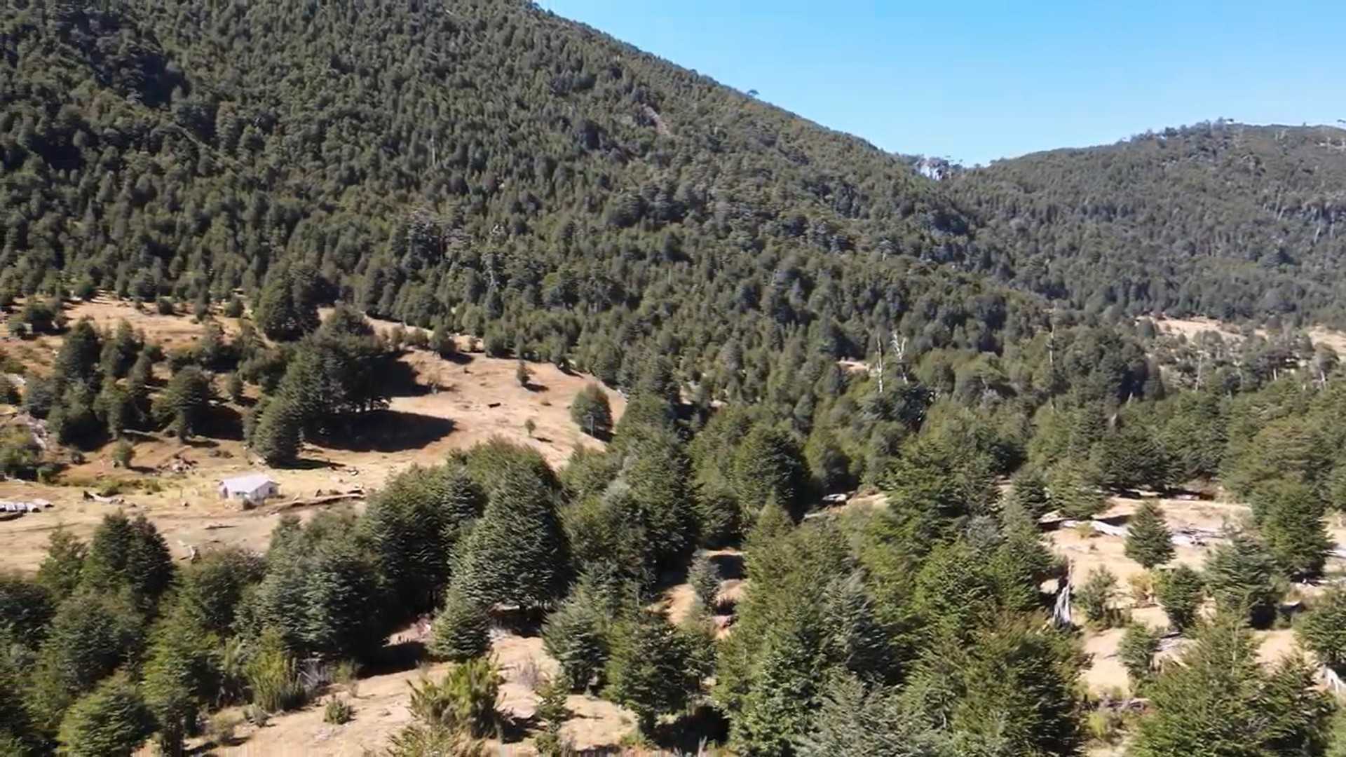 Terreno en Venta en Pucón miniatura 10