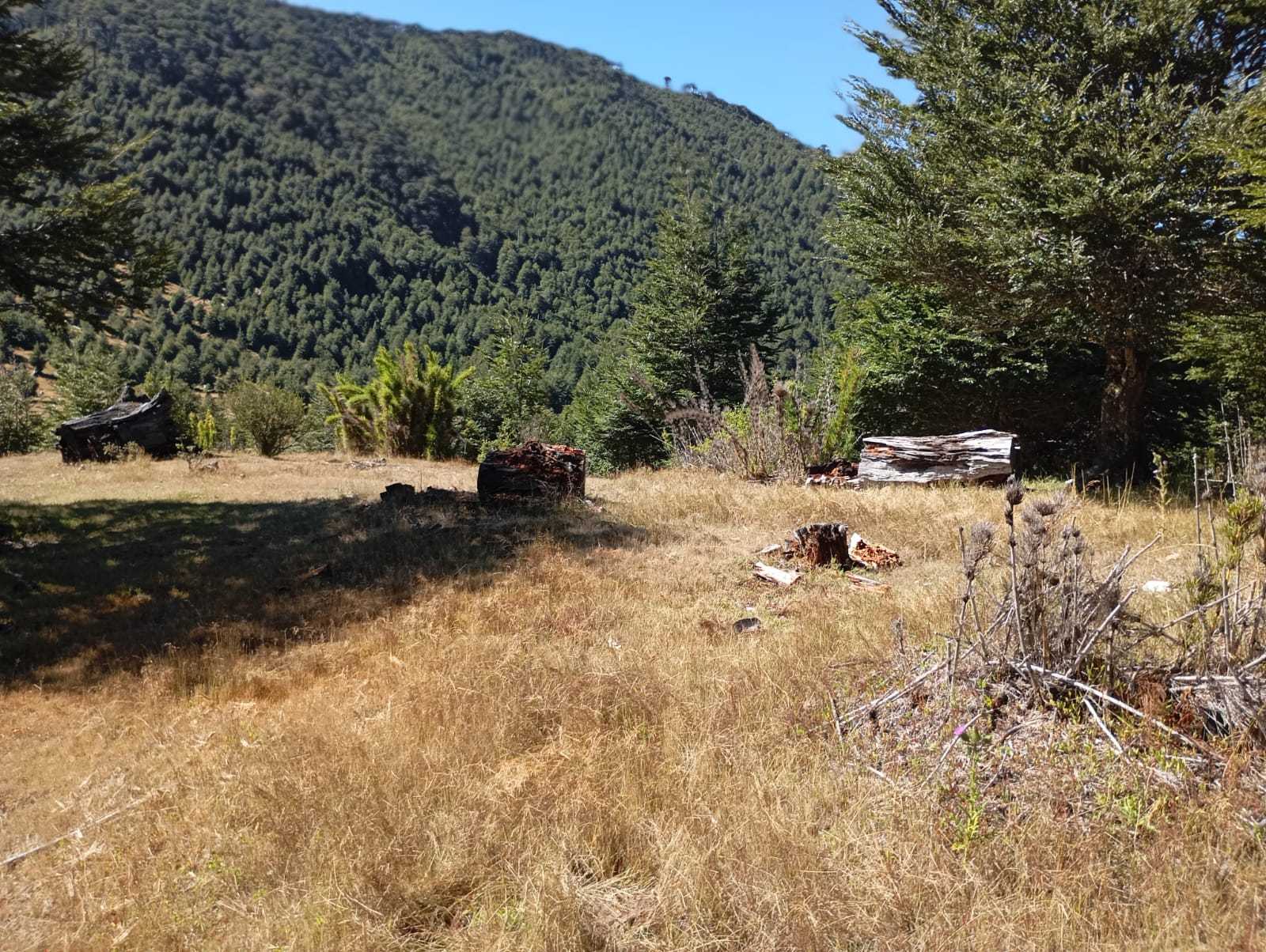 Terreno en Venta en Pucón miniatura 12