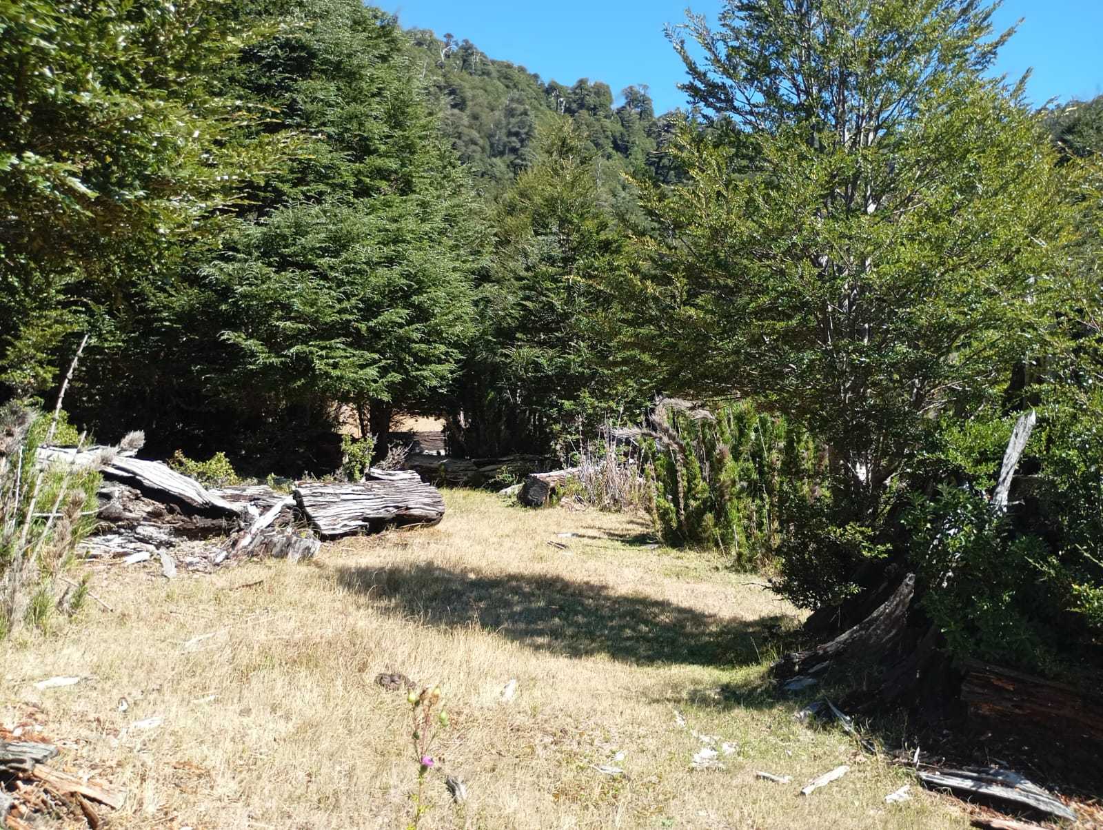 Terreno en Venta en Pucón miniatura 14