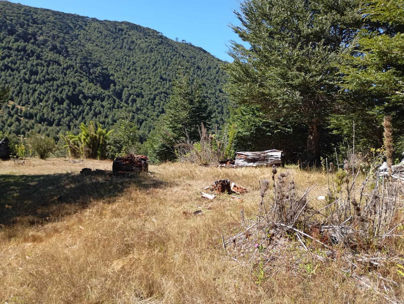 Terreno en Venta en Pucón miniatura 16