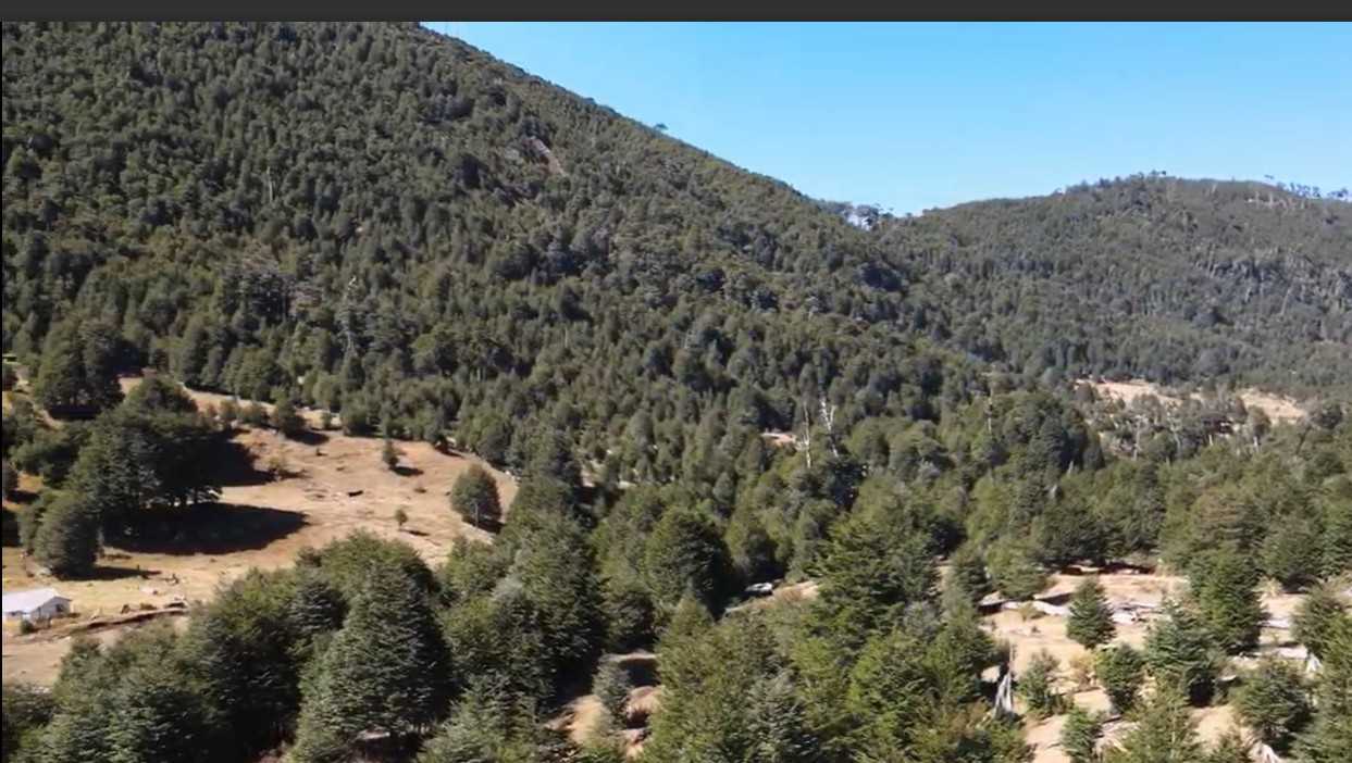 Terreno en Venta en Pucón miniatura 22