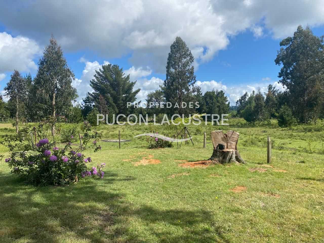 Parcela en Venta en Freire miniatura 19