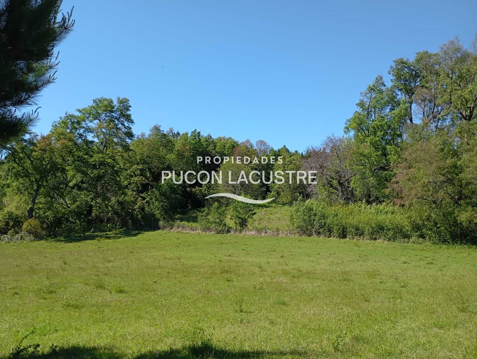 Parcela en Venta en Pucón miniatura 11