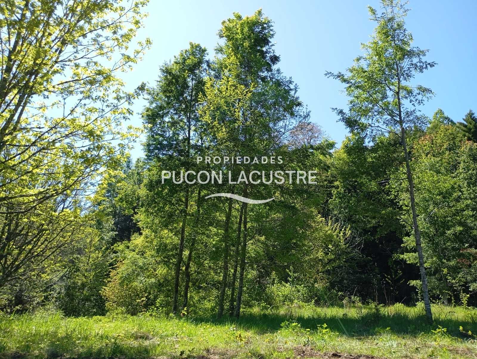 Parcela en Venta en Pucón miniatura 15