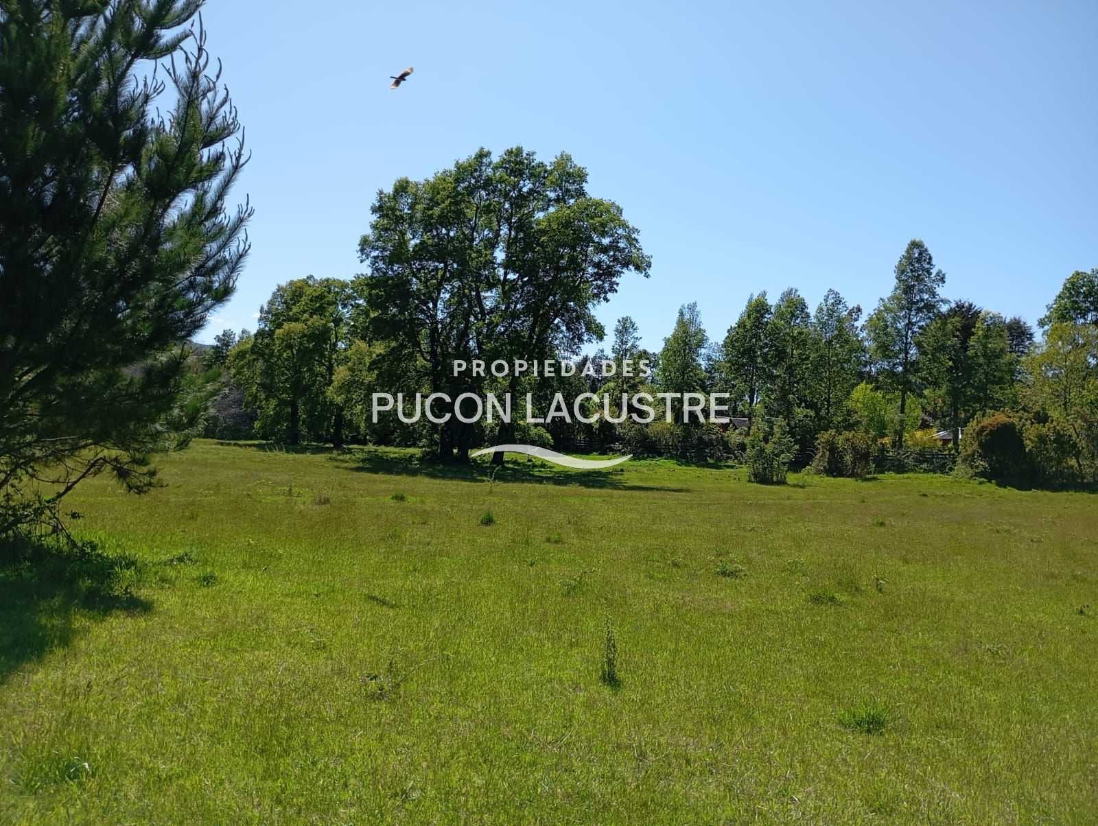Parcela en Venta en Pucón miniatura 18