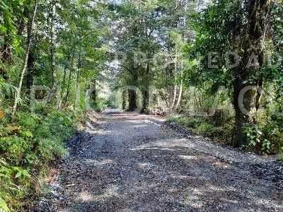 Casa en Venta en Panguipulli miniatura 15