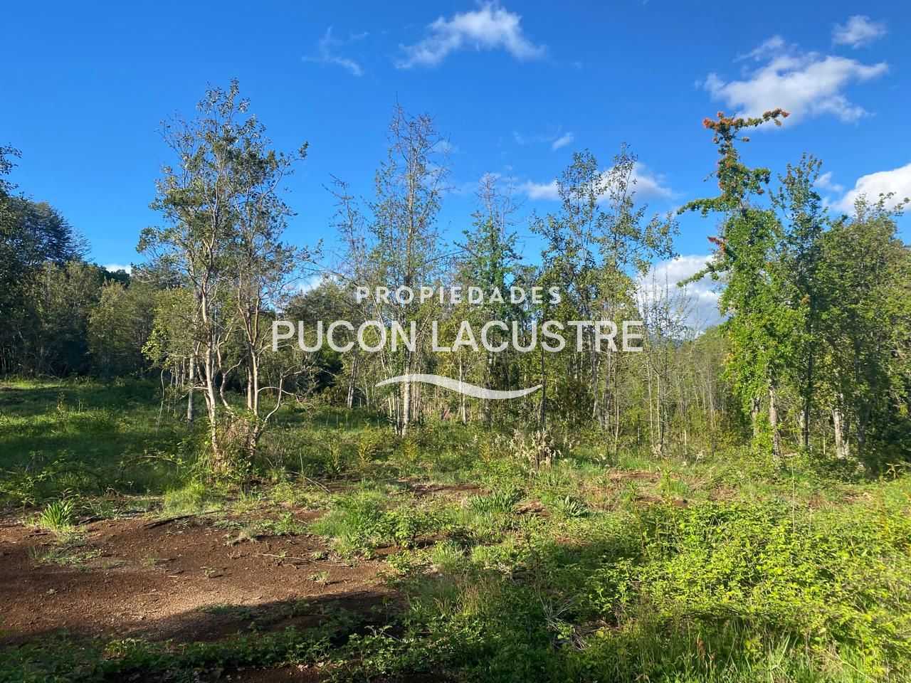 Parcela en Venta en Pucón miniatura 3