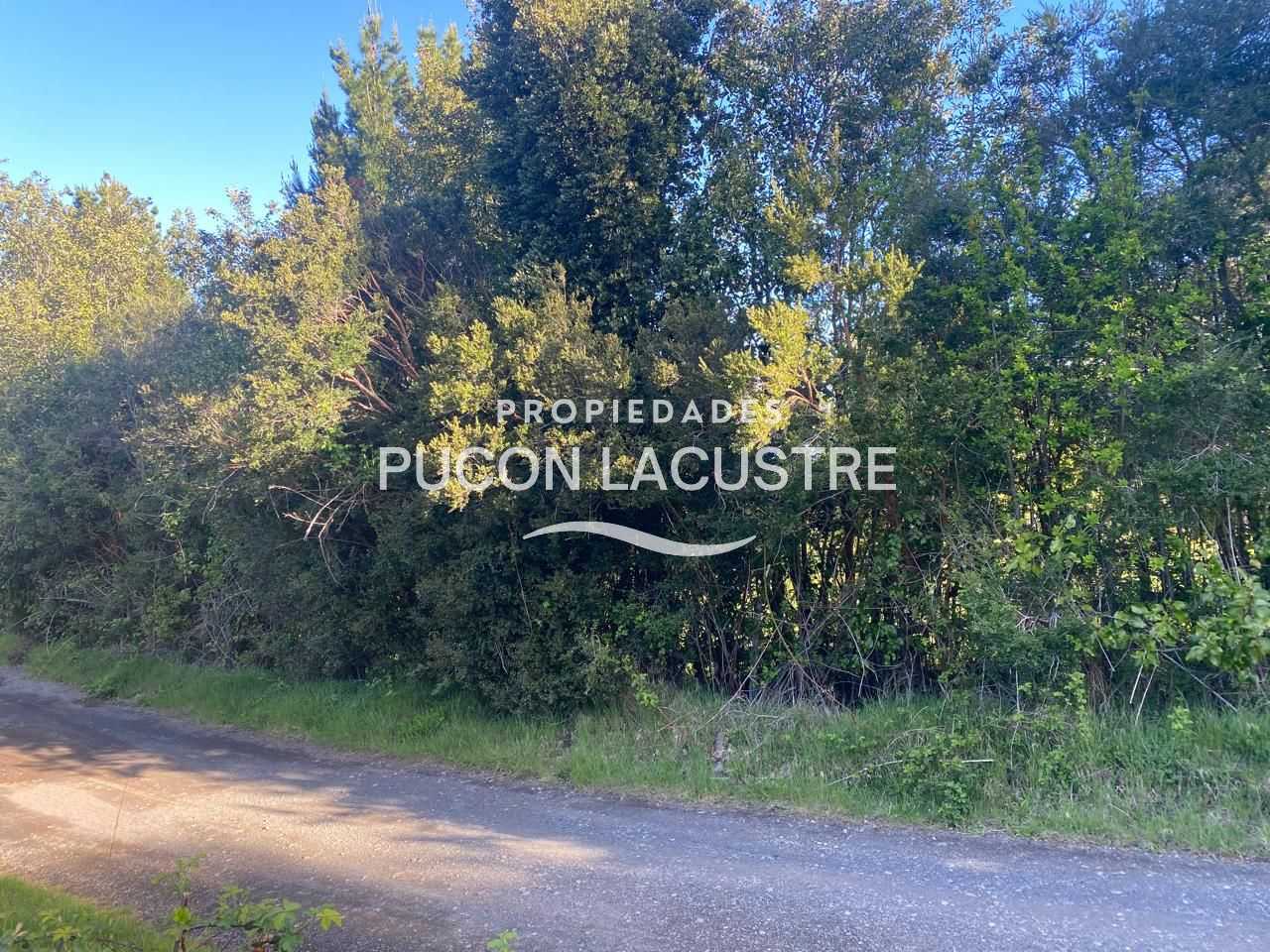 Parcela en Venta en Pucón miniatura 4