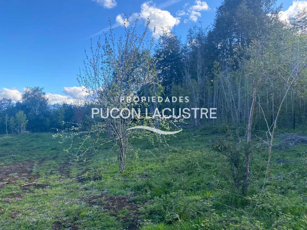 Parcela en Venta en Pucón miniatura 8