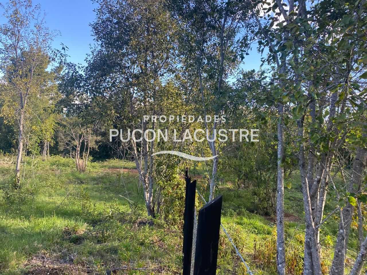 Parcela en Venta en Pucón miniatura 9