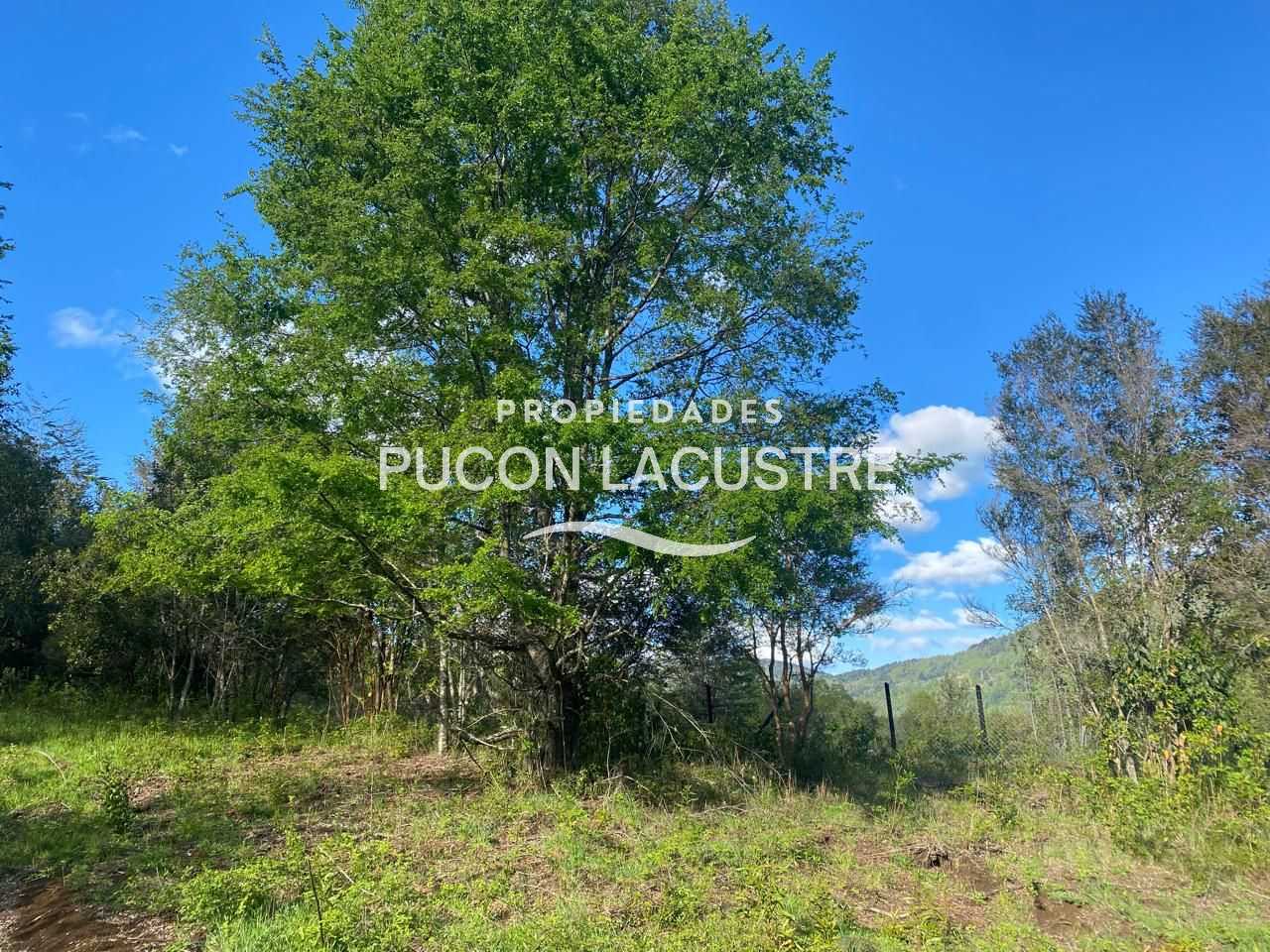 Parcela en Venta en Pucón miniatura 13