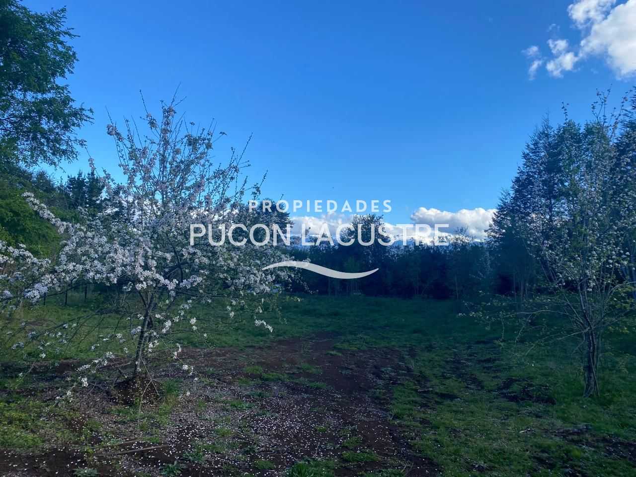 Parcela en Venta en Pucón miniatura 17