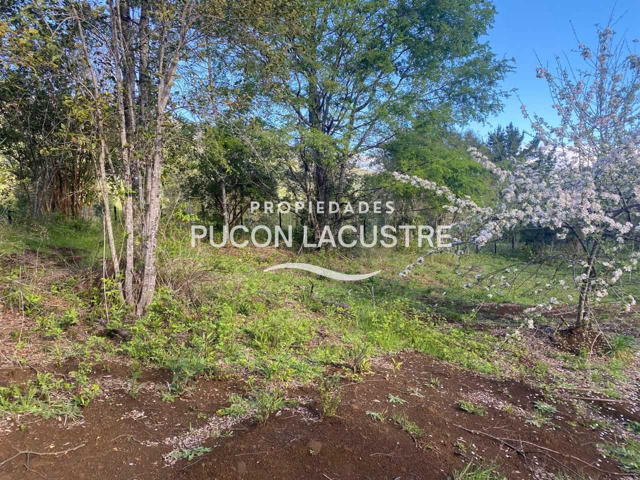 Parcela en Venta en Pucón miniatura 18