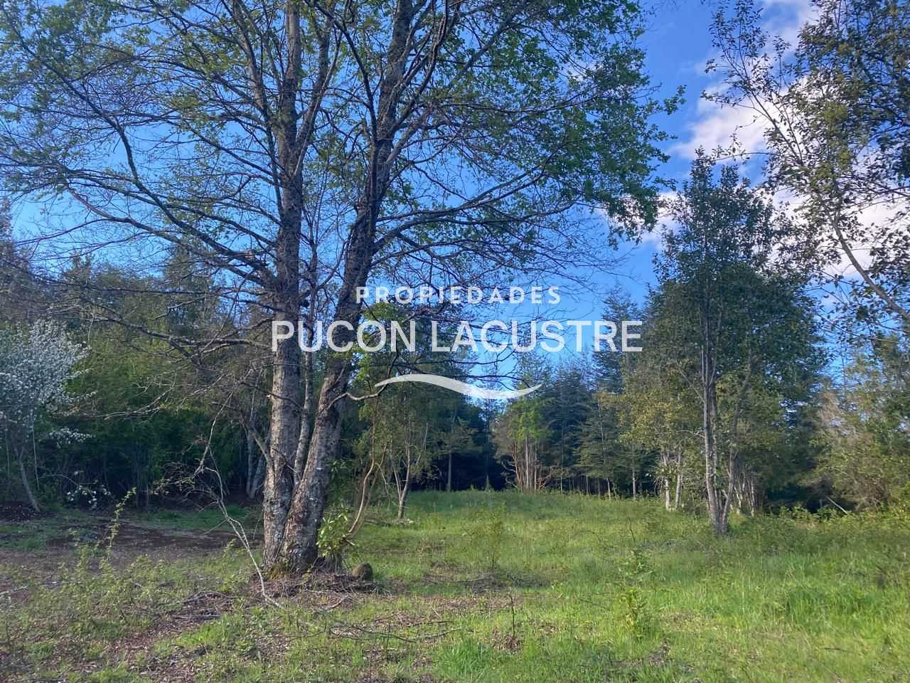 Parcela en Venta en Pucón miniatura 19
